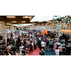 Feira da Louça bate recorde de público com 160 mil visitantes em 11 dias de evento